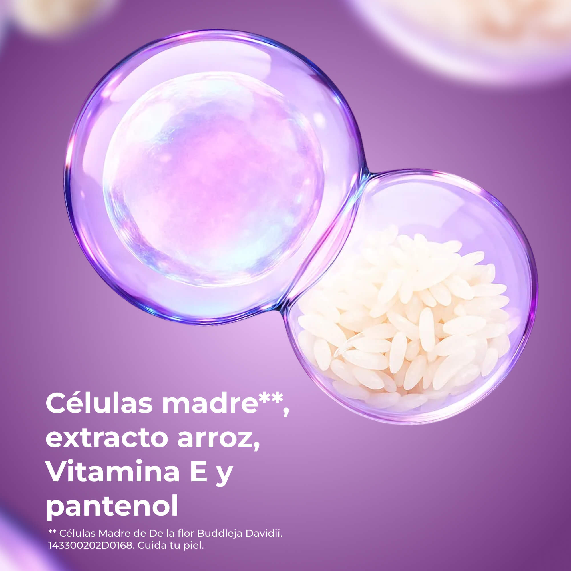 TEA_COREANA 6 INGREDIENTES